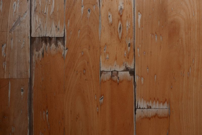 Commercial Wood Floor Repair