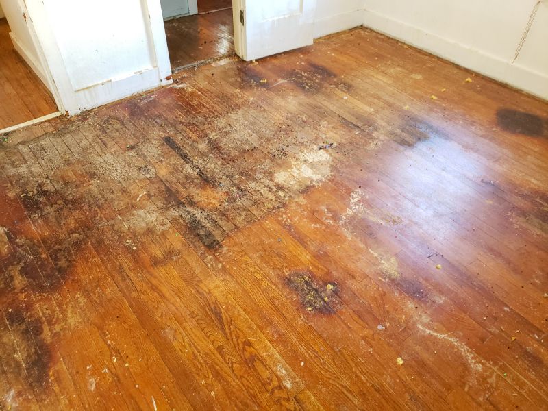 Damaged Flooring in Summer
